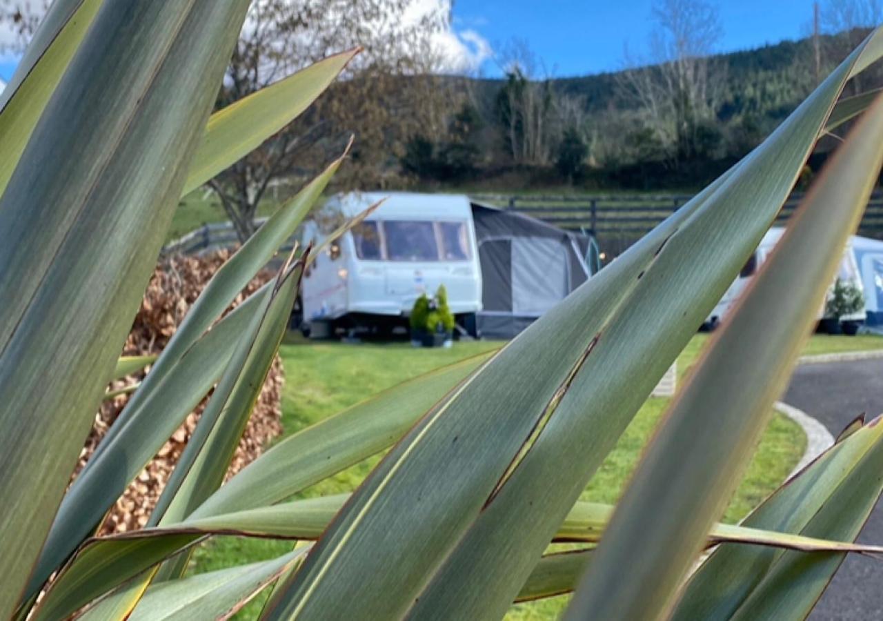 Rostrevor Valley Caravans With Private Hot Tub Dış mekan fotoğraf